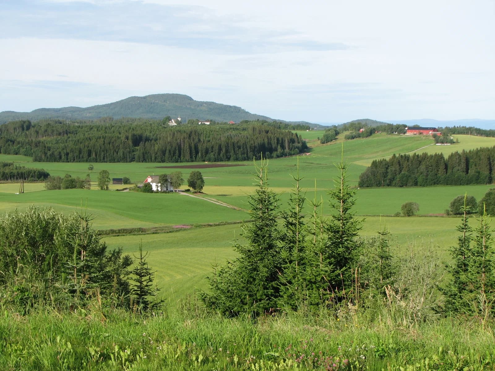 Ogndal Municipality