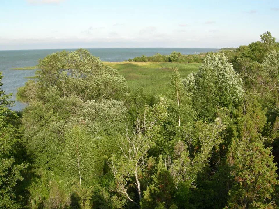 Muhu