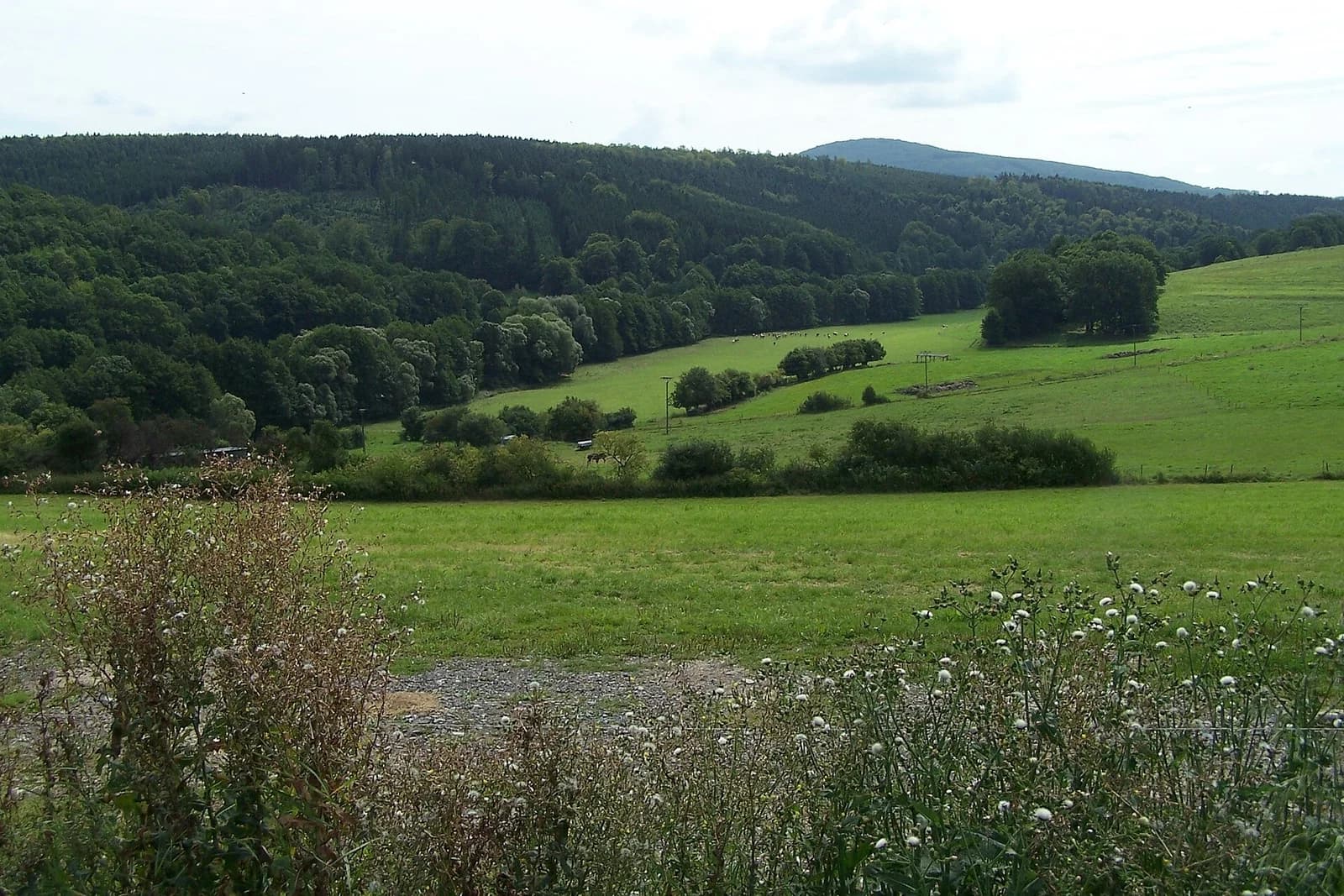Kohlgraben