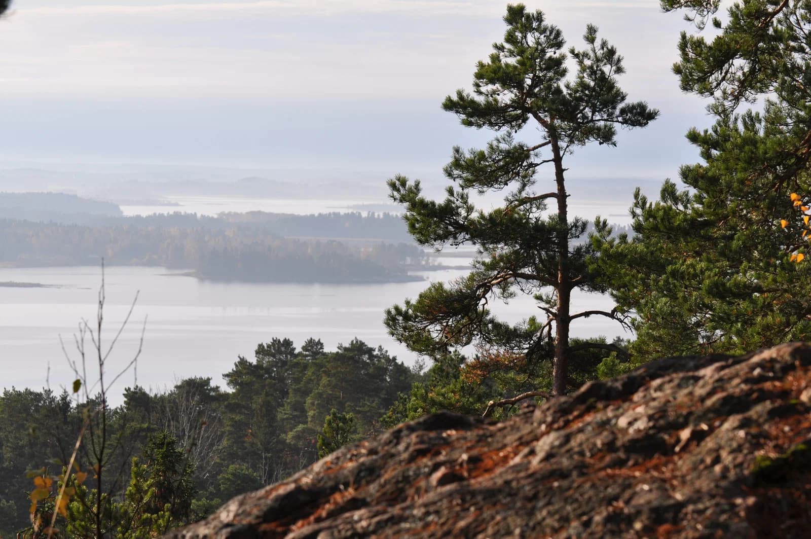 Kolmården