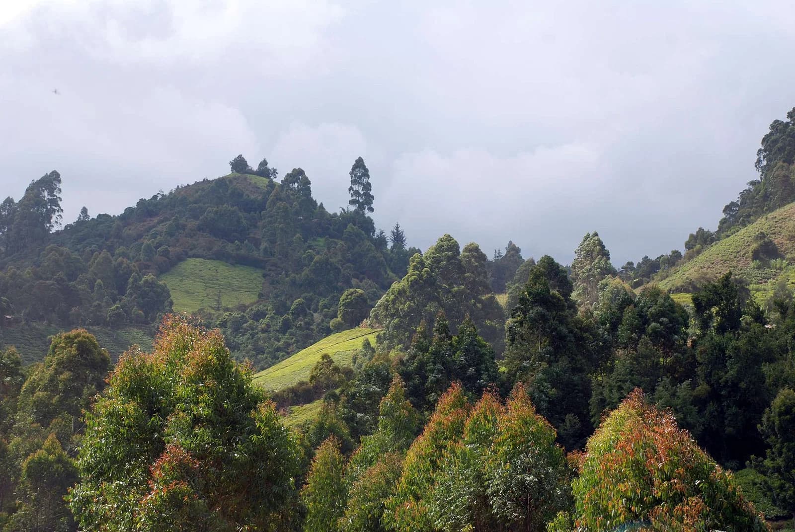 Muranga County