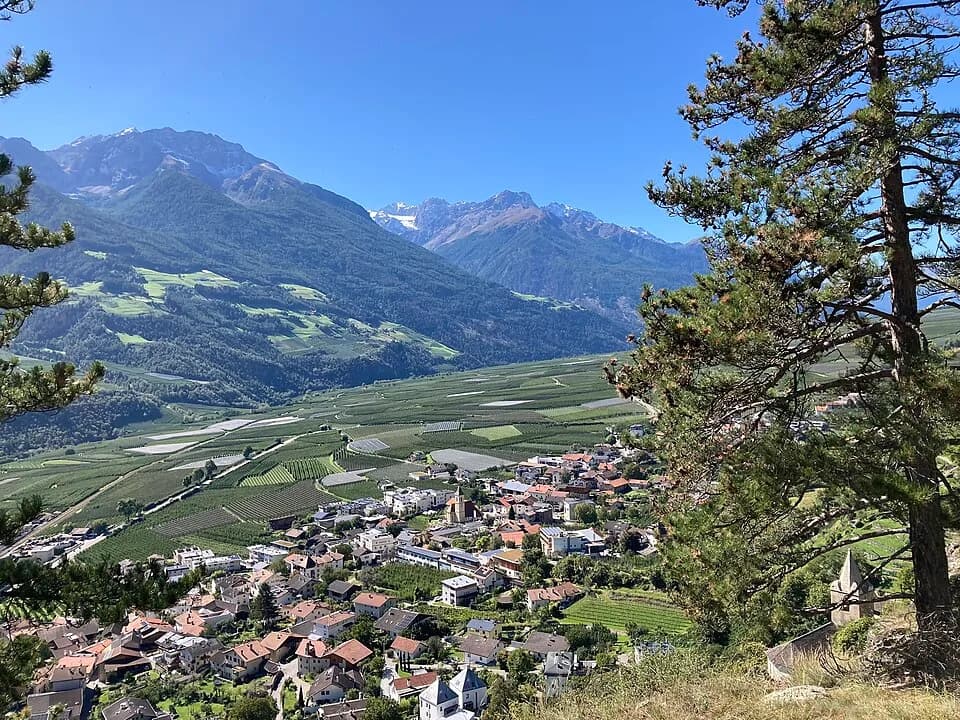 Kortsch