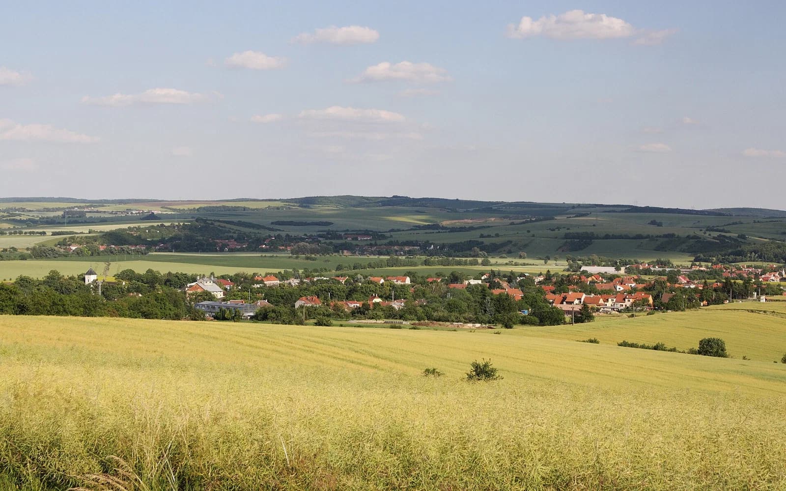Křenovice