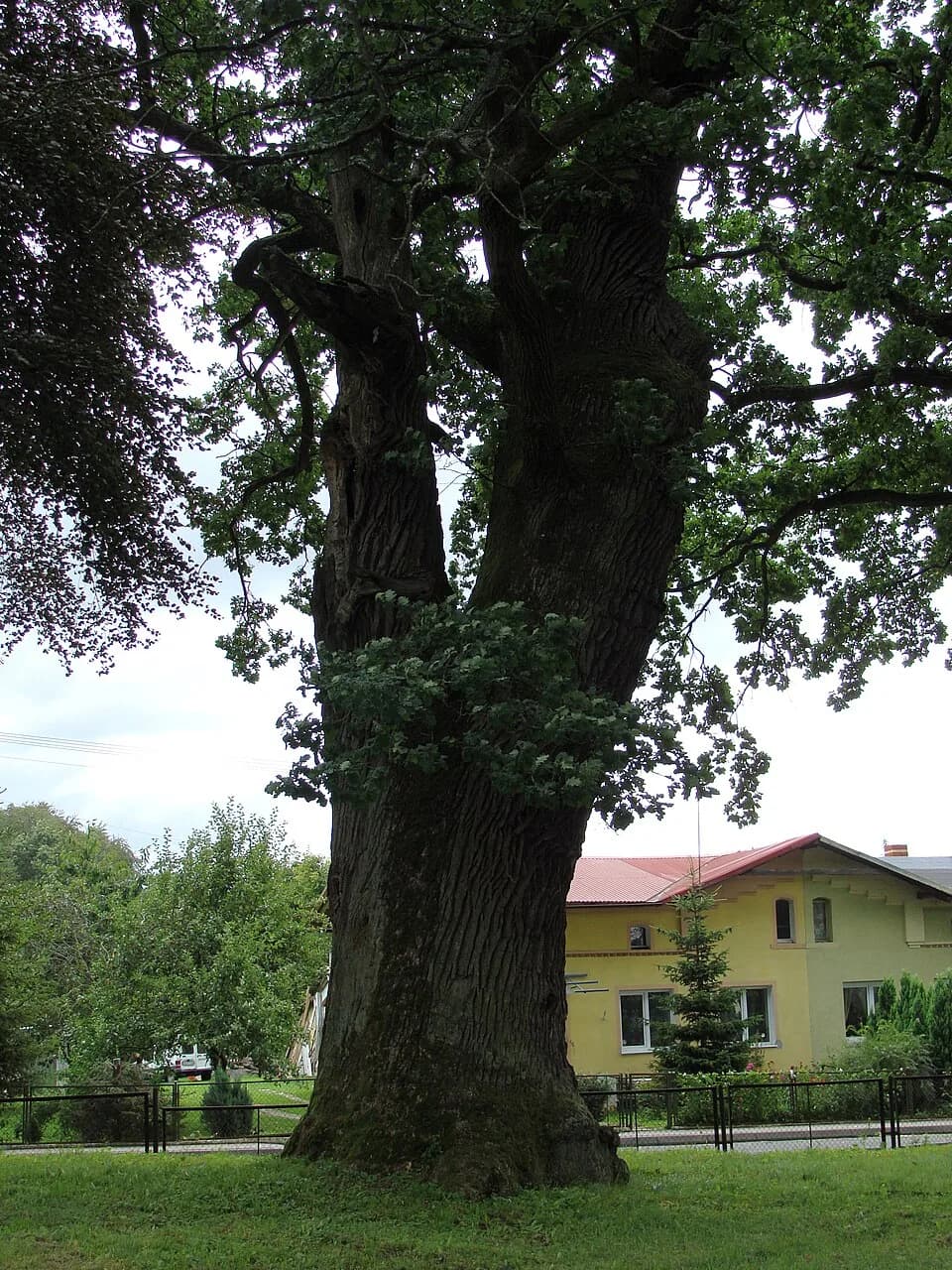 Trzygłów, West Pomeranian Voivodeship