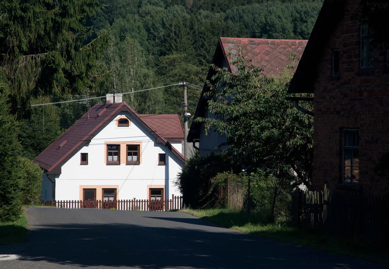 Labuť (Staré Sedliště)