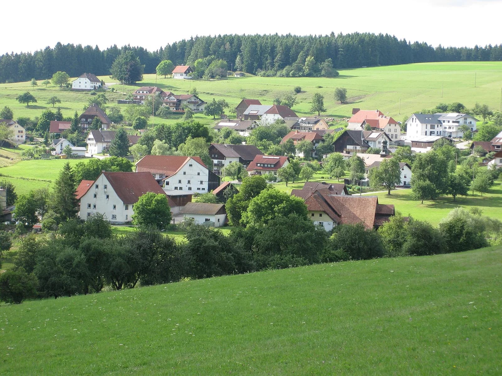 Wittlekofen