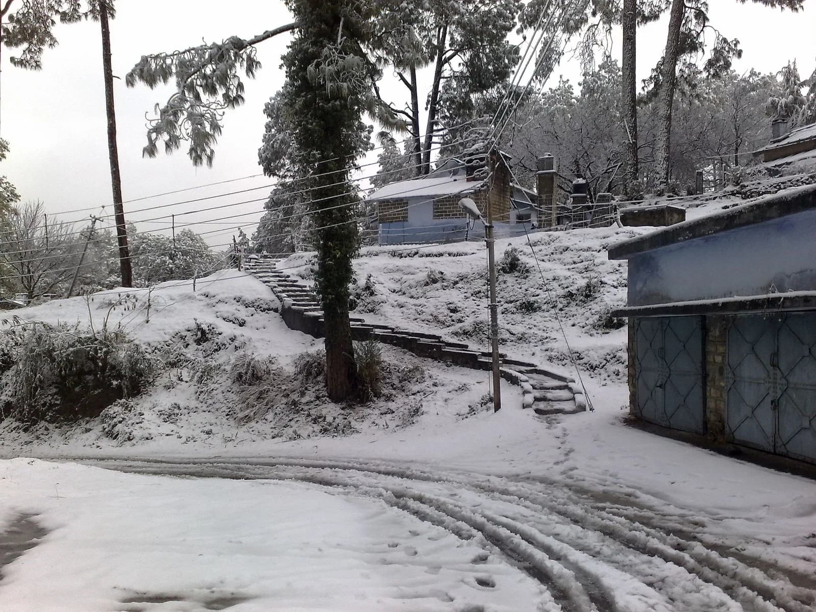 Almora district