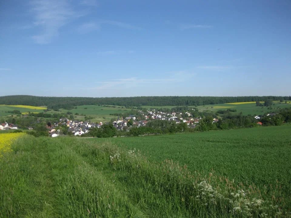 Laufenselden