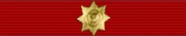 Order "For Merit to the Fatherland", 1st class