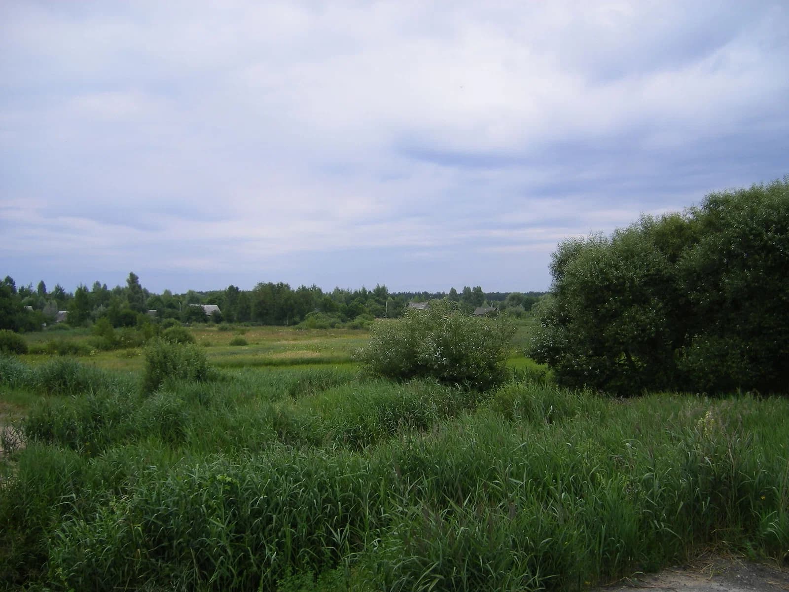 Jeĺsk District
