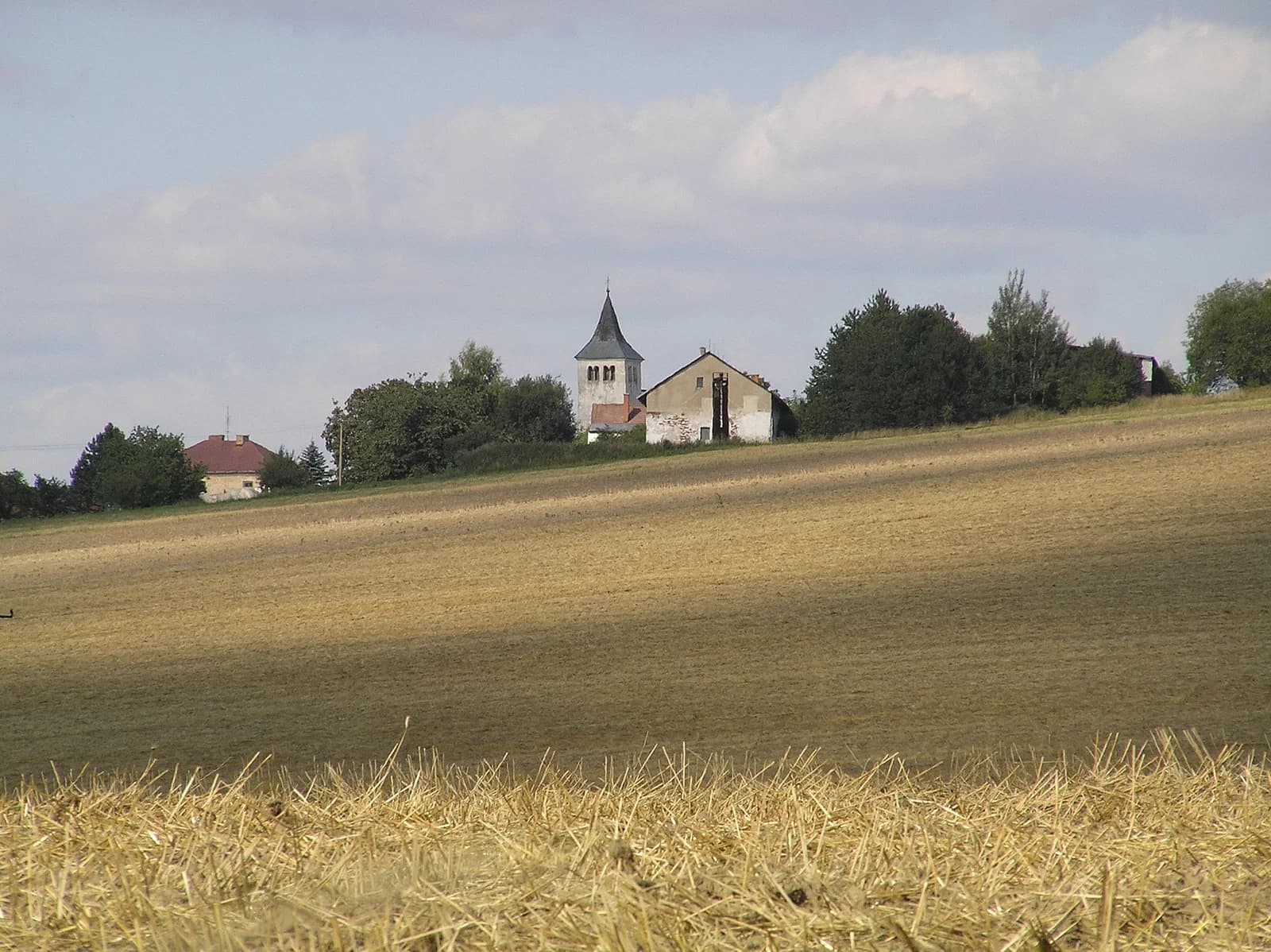 Pohnání