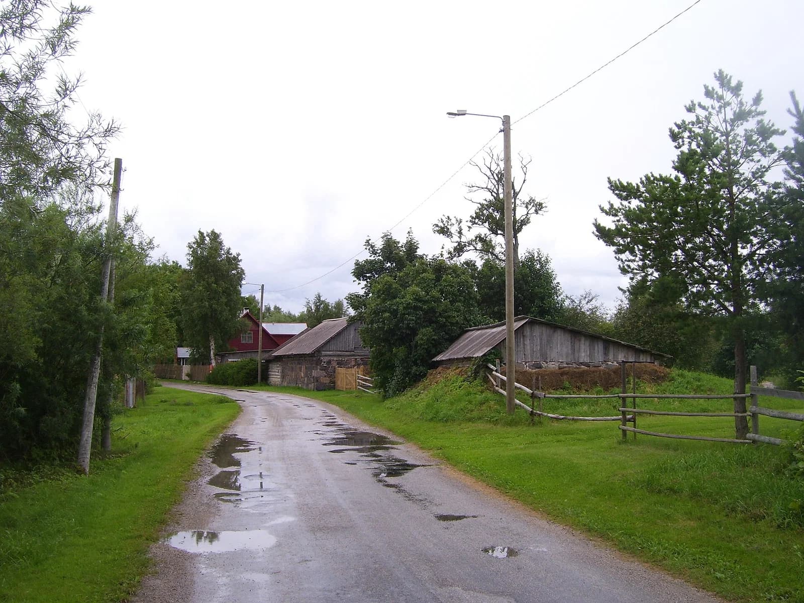 Leesi