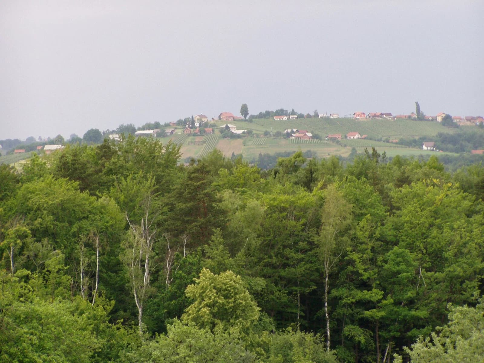 Hum pri Ormožu