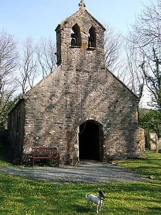 Llys-y-frân