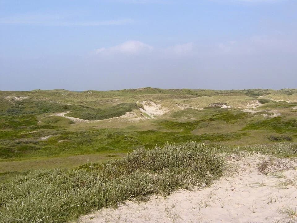 Sint Maartenszee