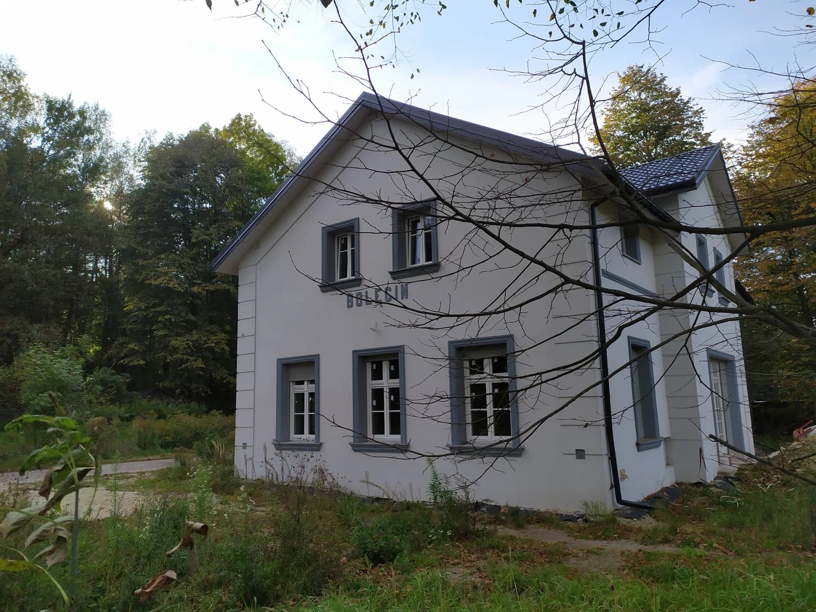 Bolęcin
