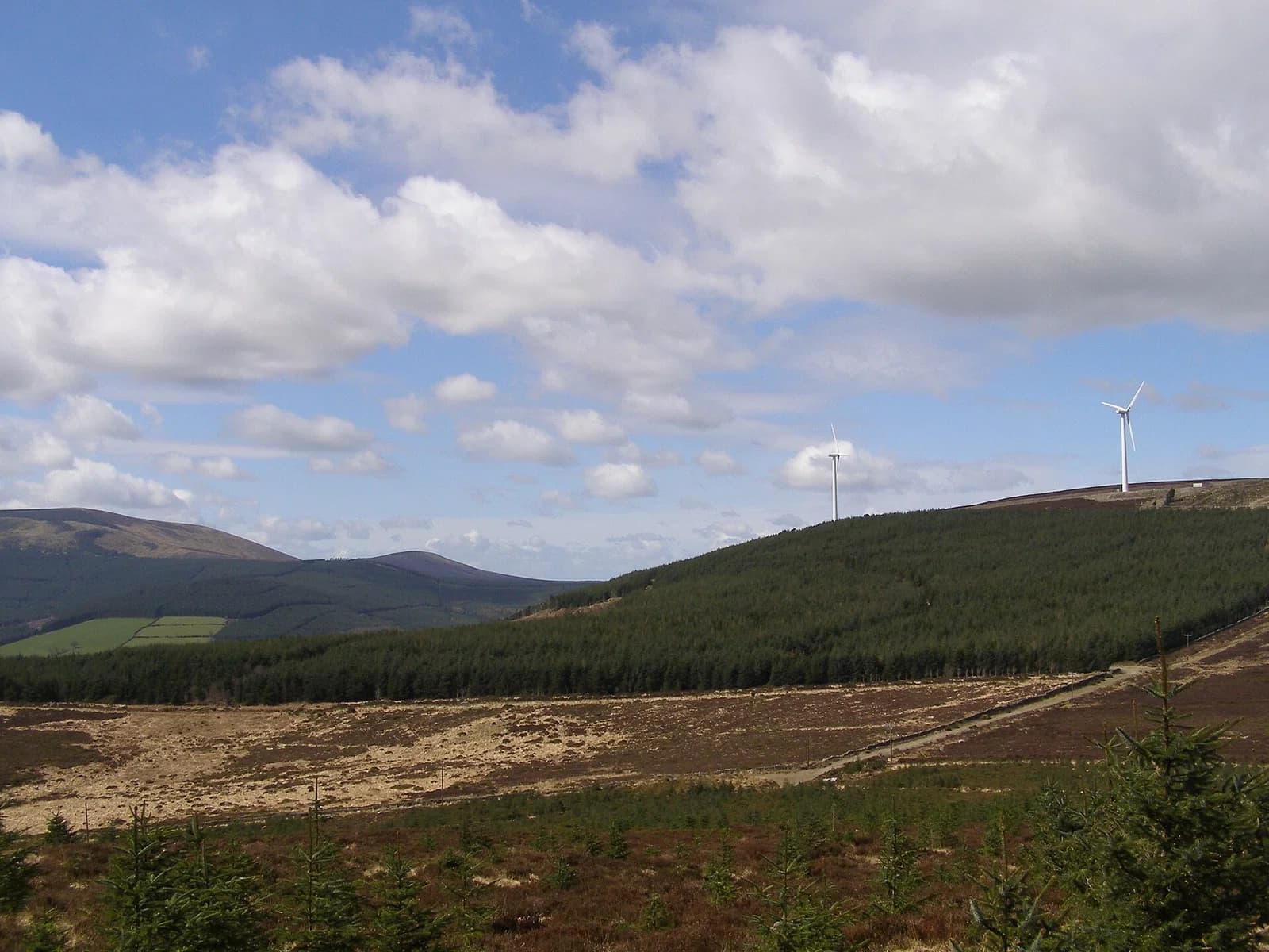 County Carlow