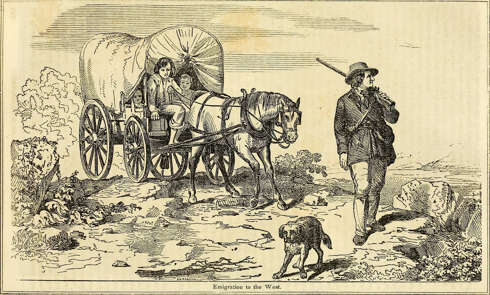 settler