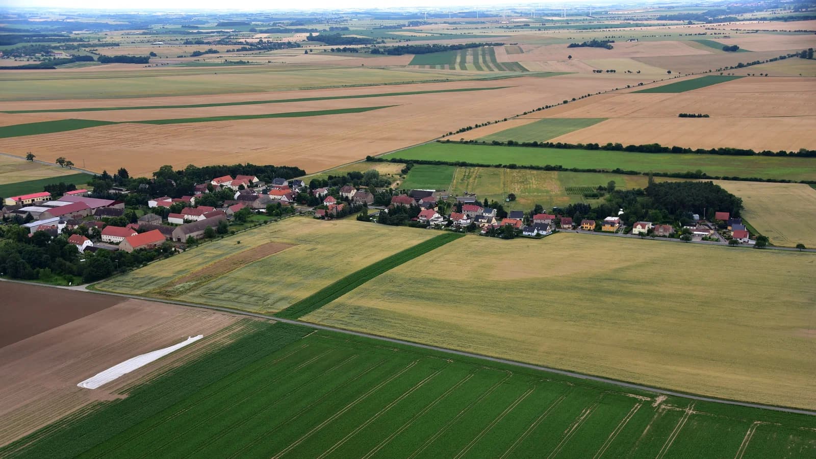 Leutewitz