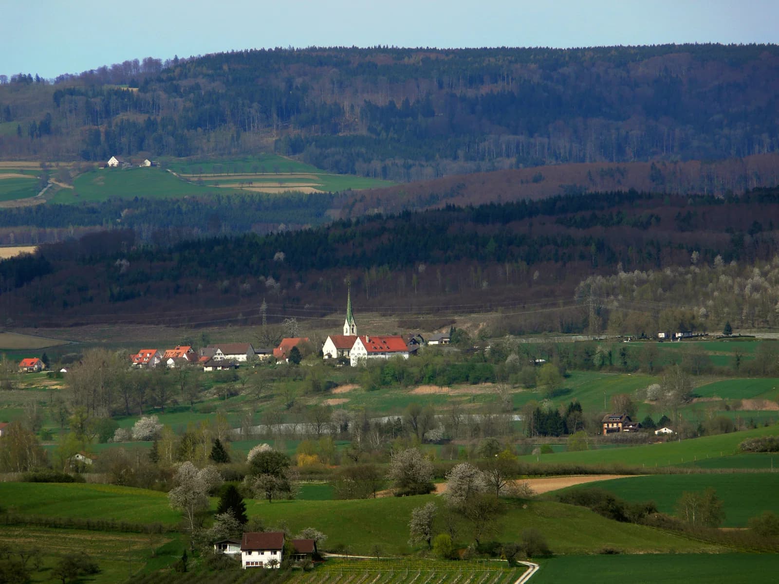 Leutkirch (Salem)