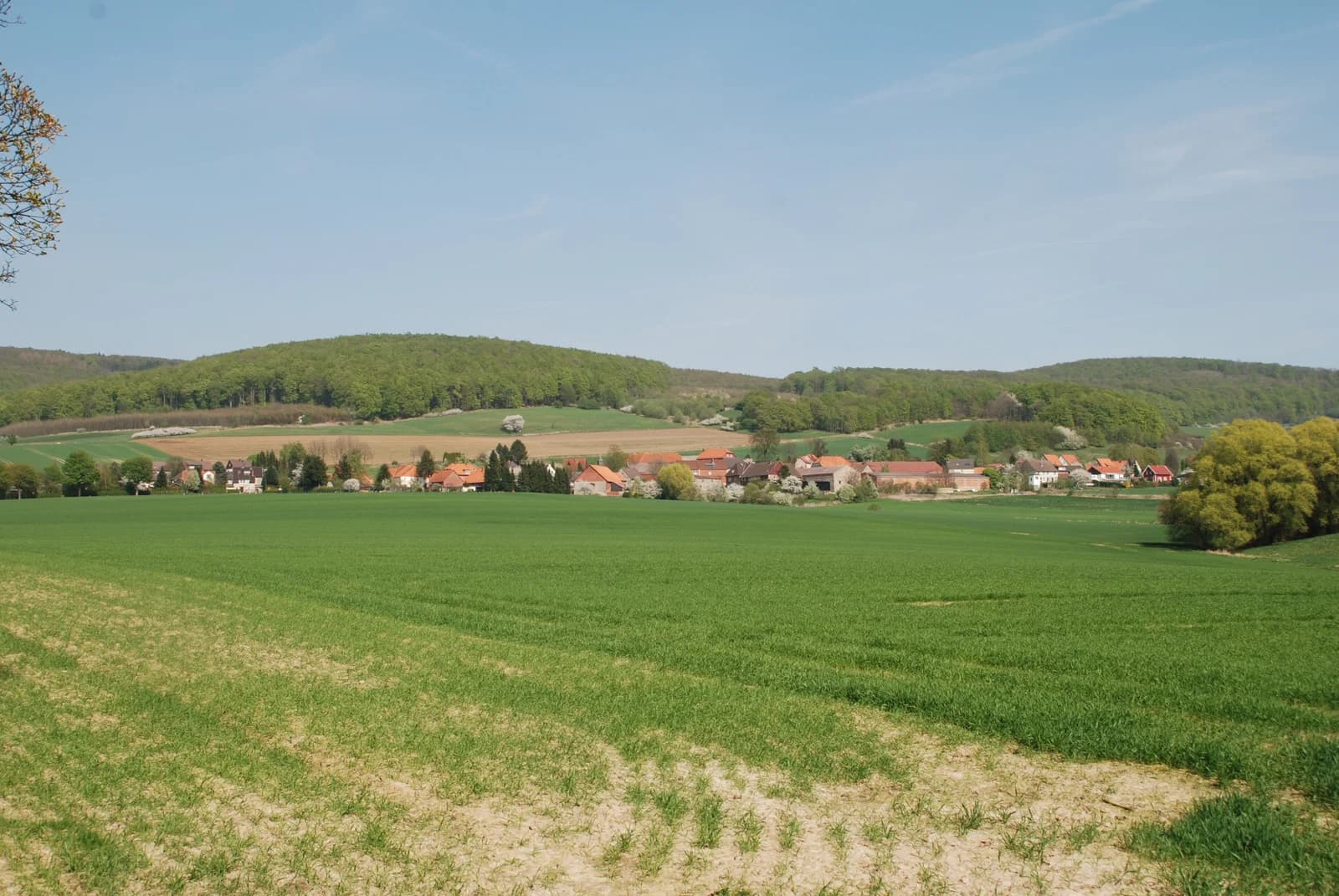 Levedagsen