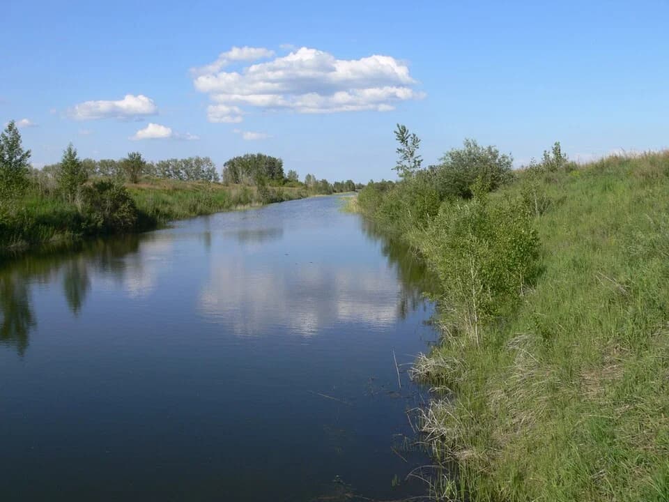 Blagoweschtschenski rajon
