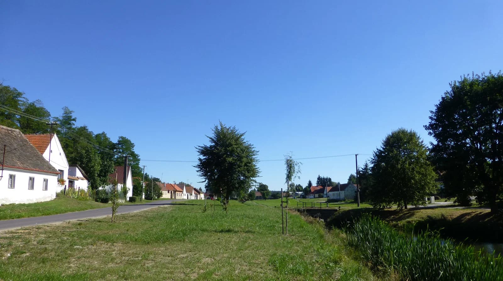 Stálky