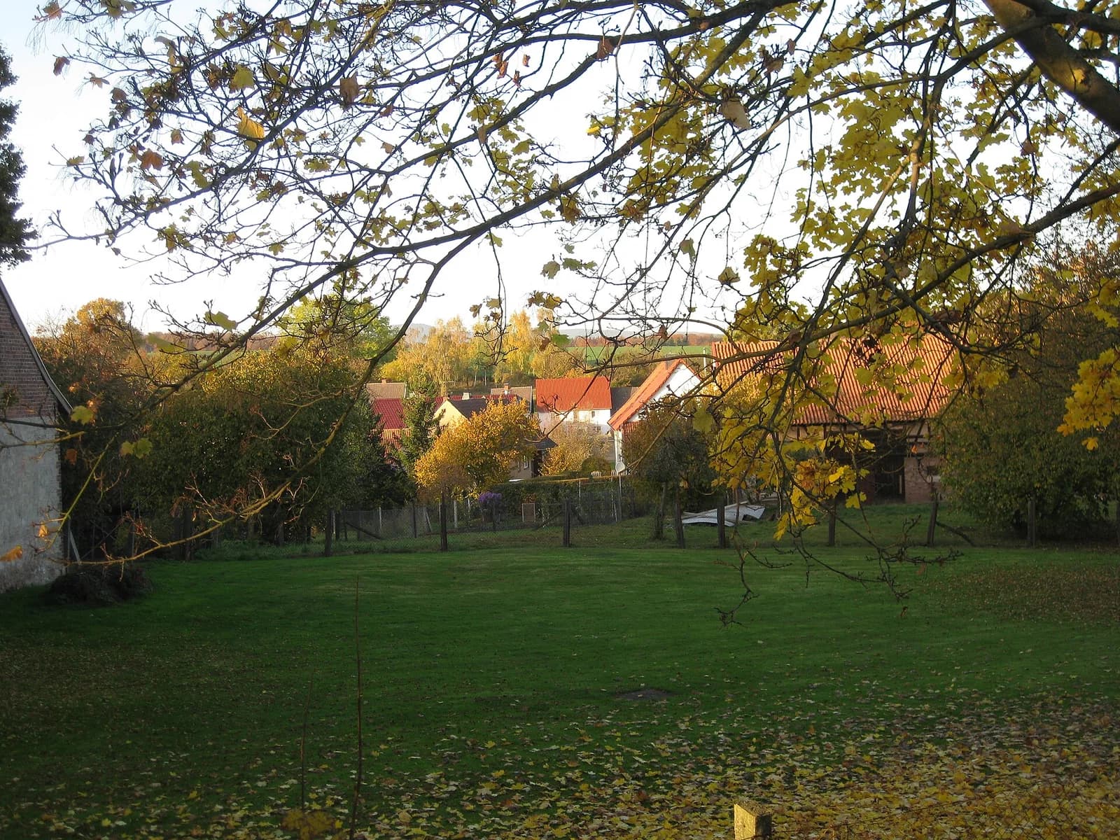 Limlingerode
