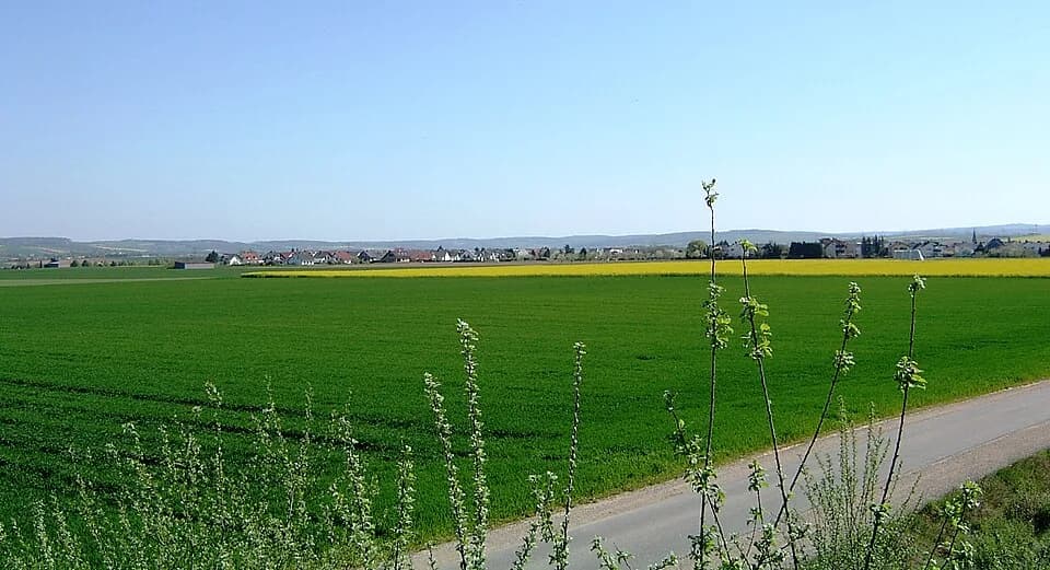 Lindenholzhausen