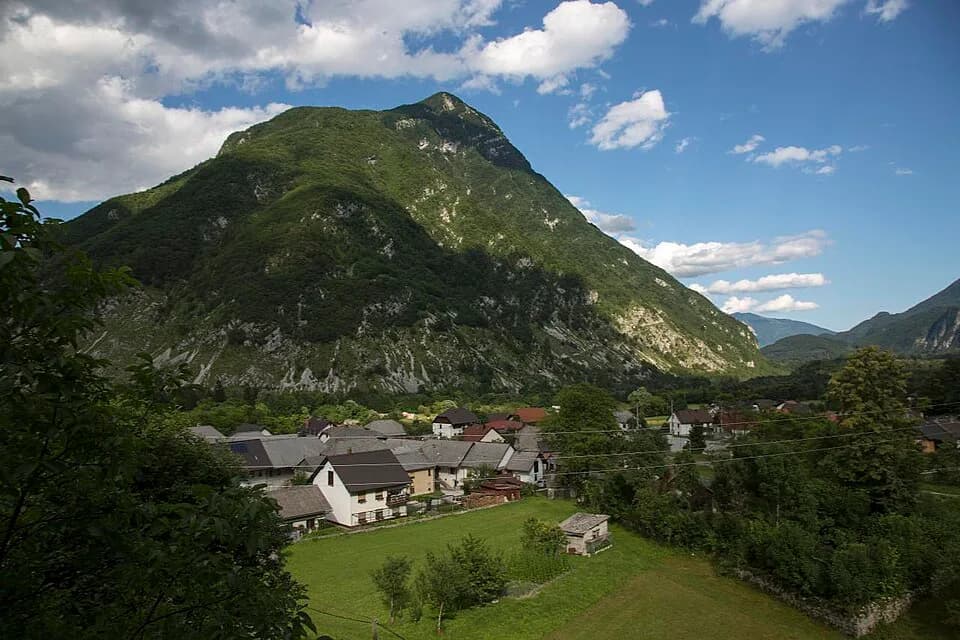 Žaga