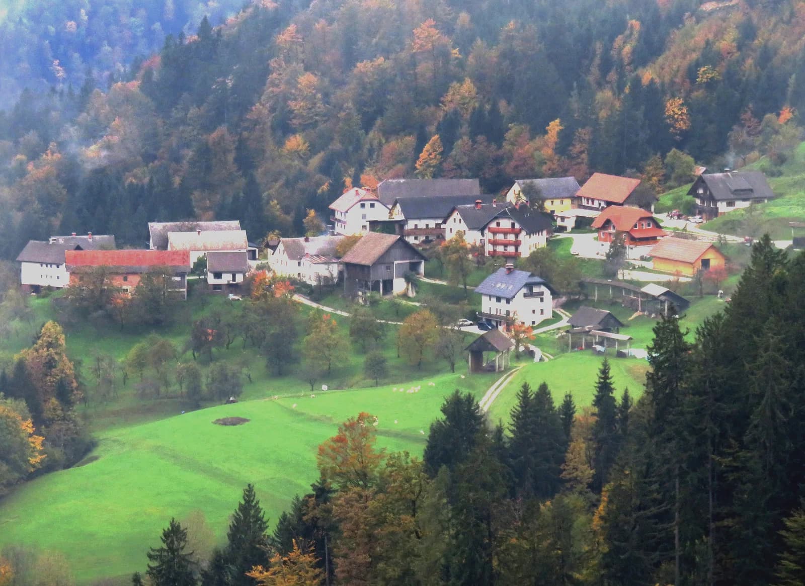 Topolje
