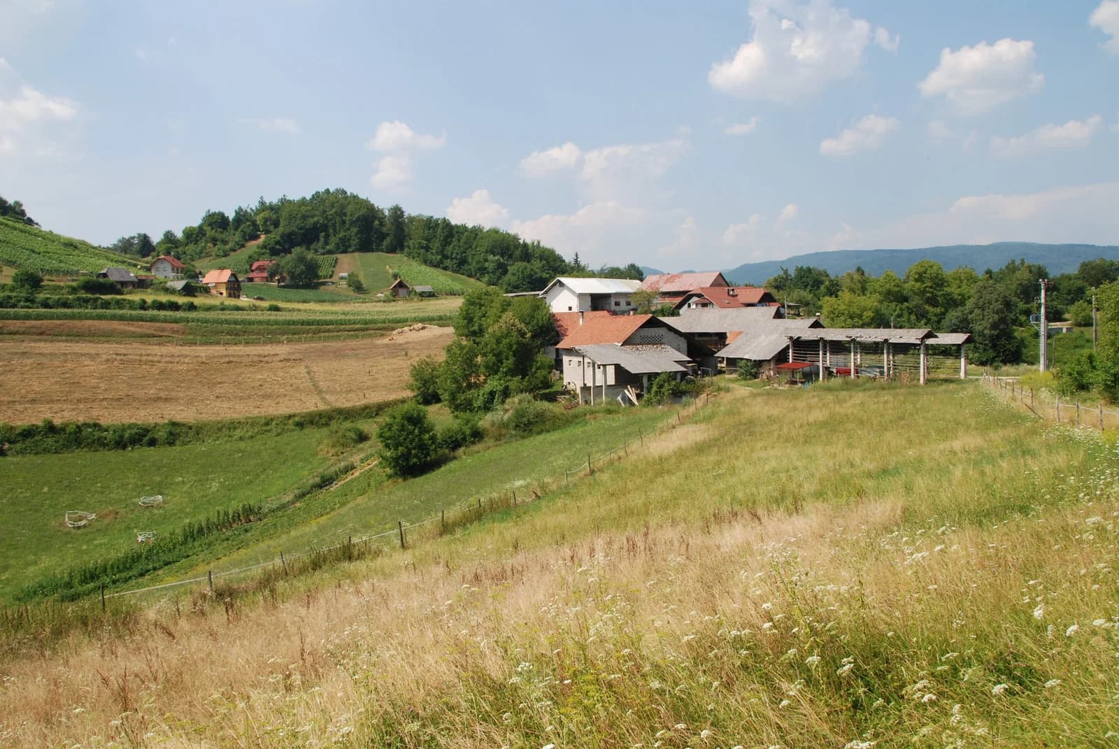 Zagorica