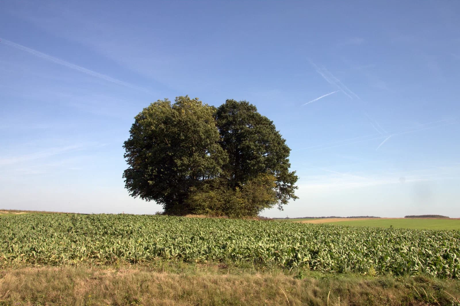 Tourinnes-Saint-Lambert