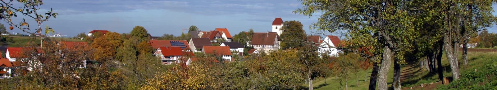 Leidringen