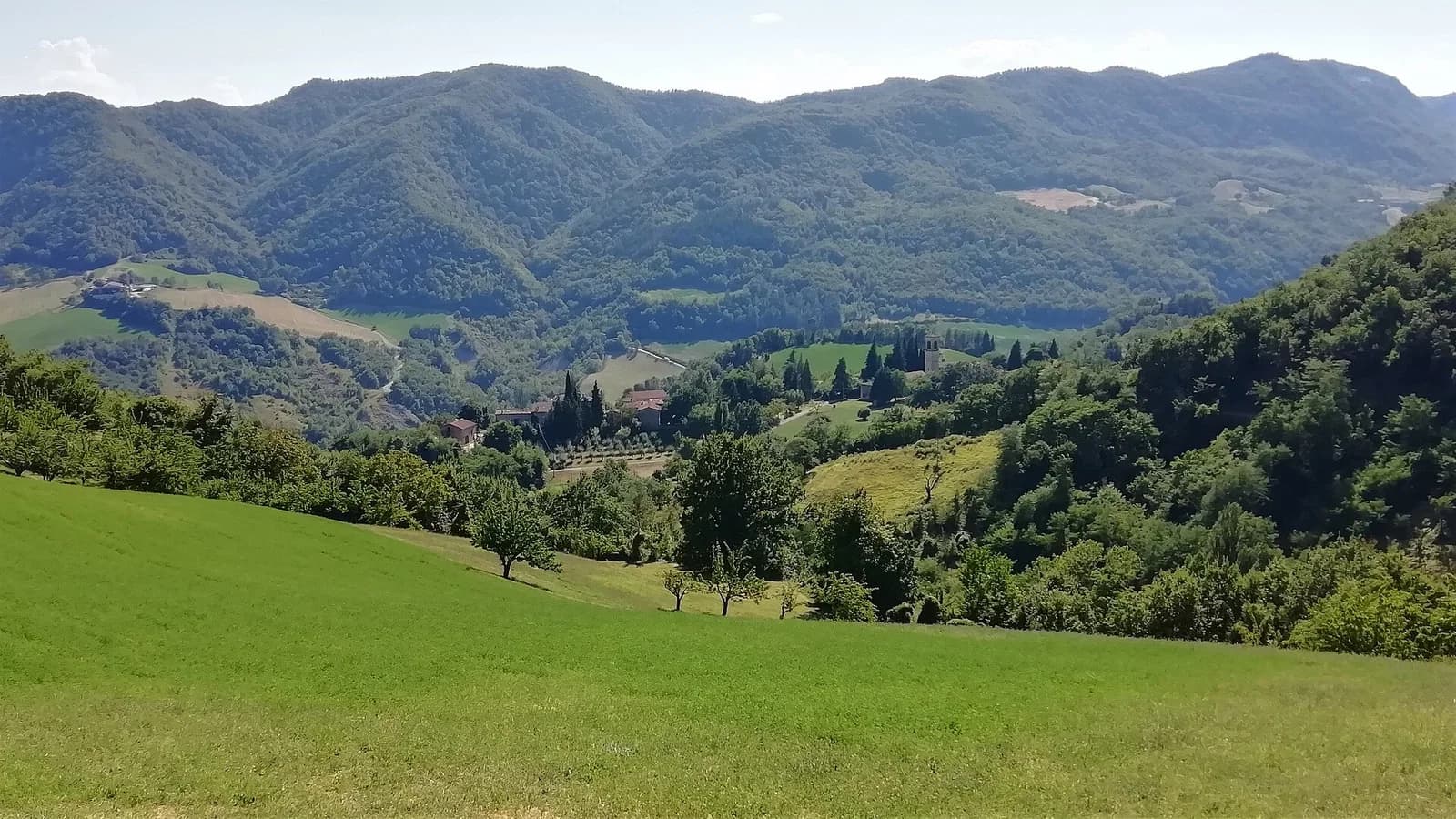 Montasico