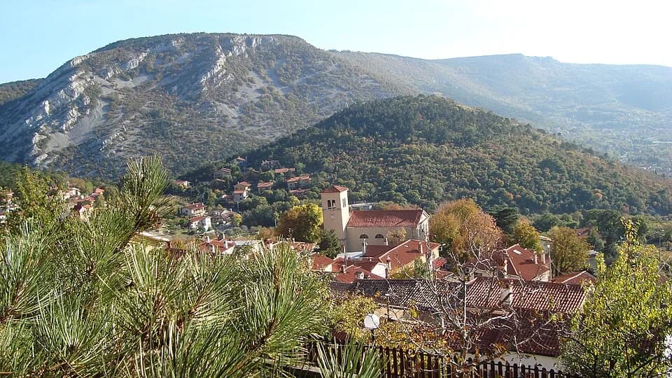Sant'Antonio in Bosco