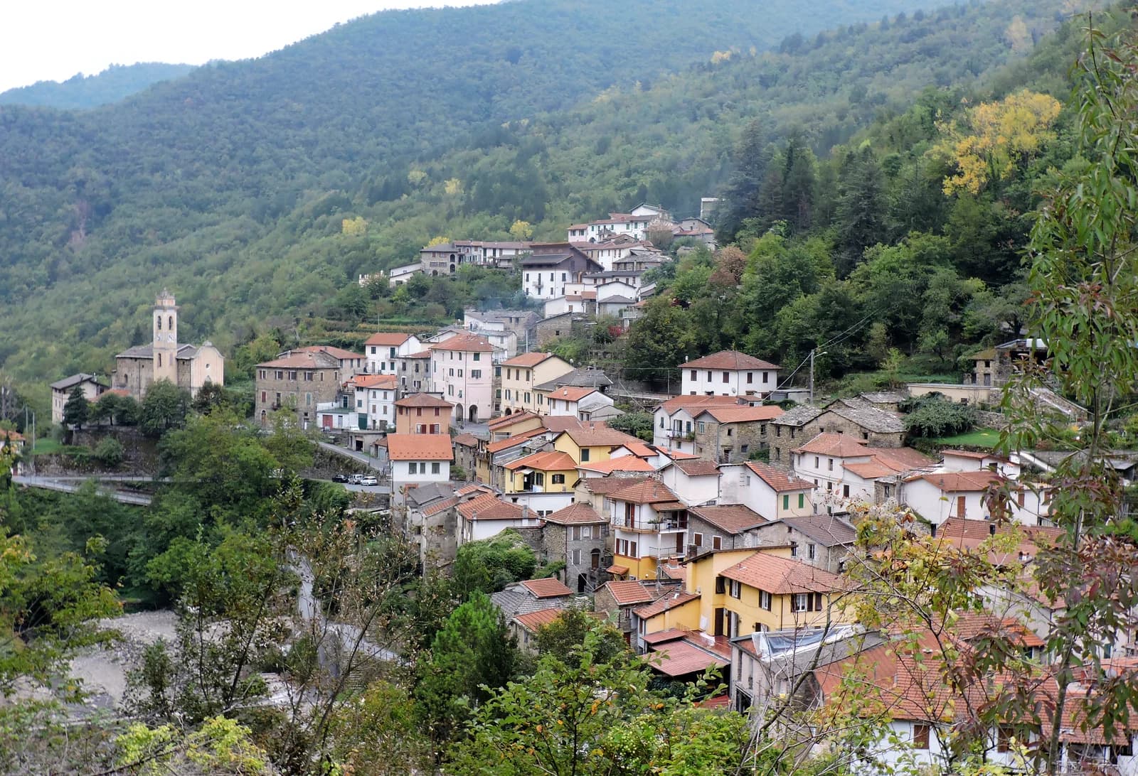 Lavina