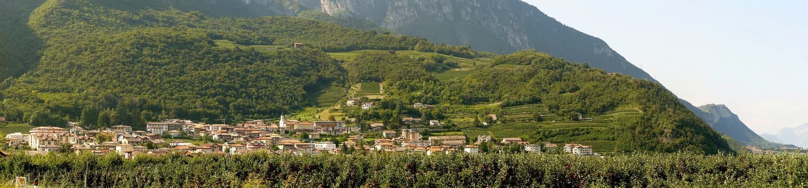 Romagnano