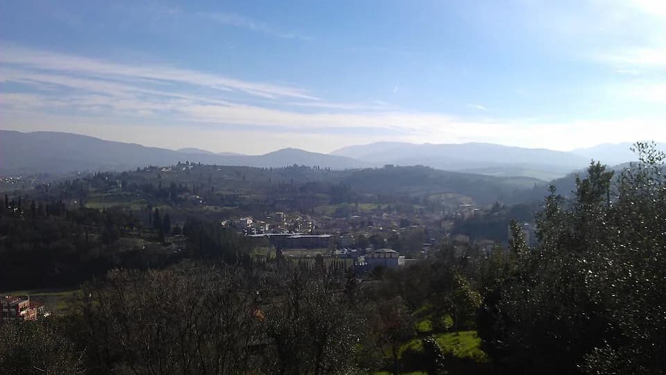 Grassina