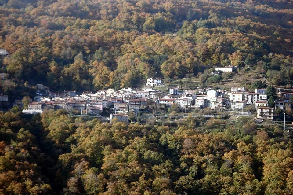 Terrinca
