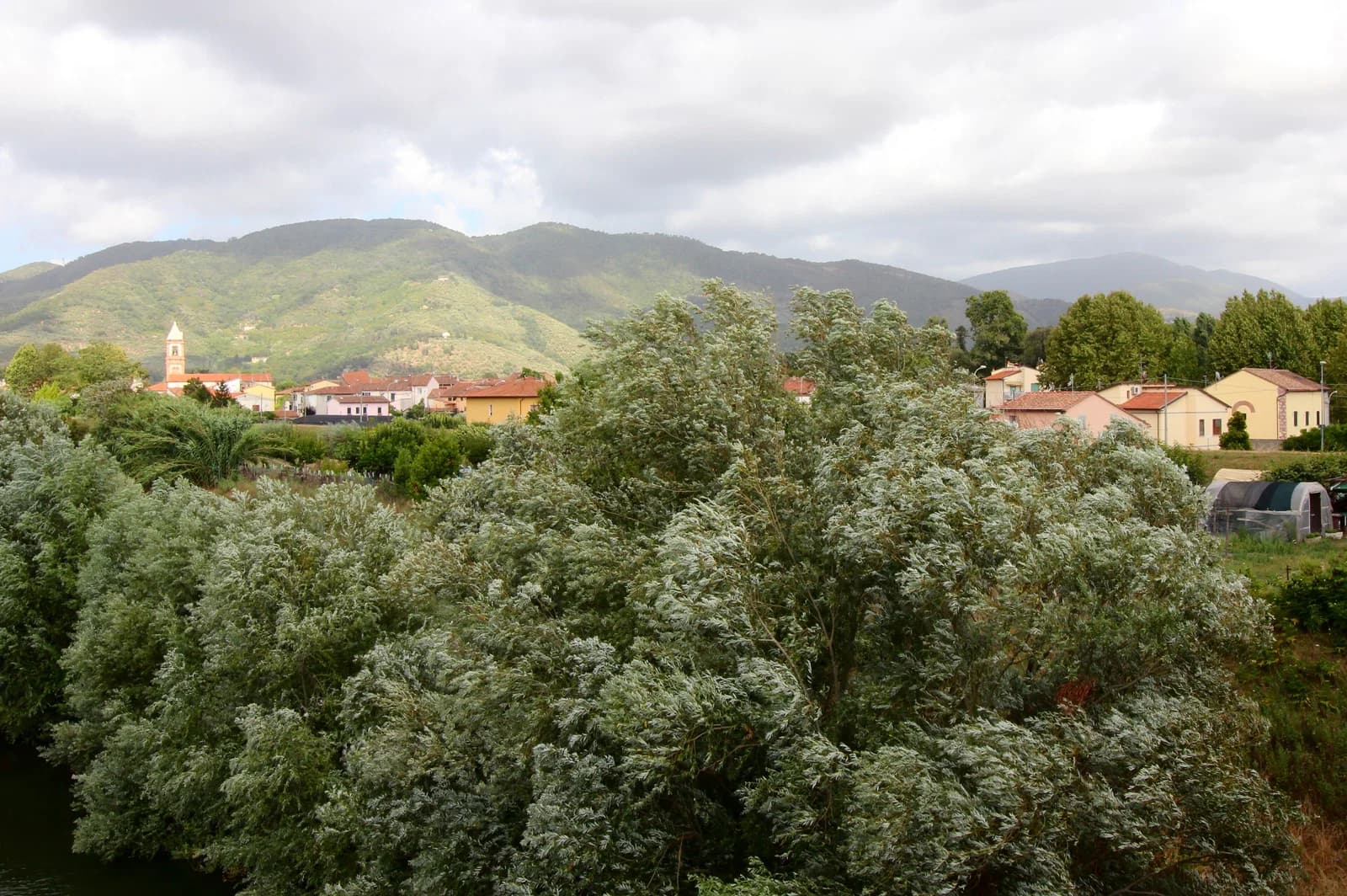Pontasserchio
