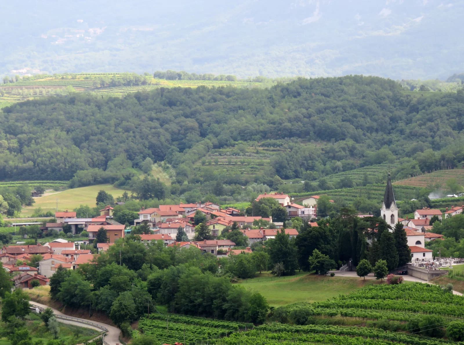 Zalošče
