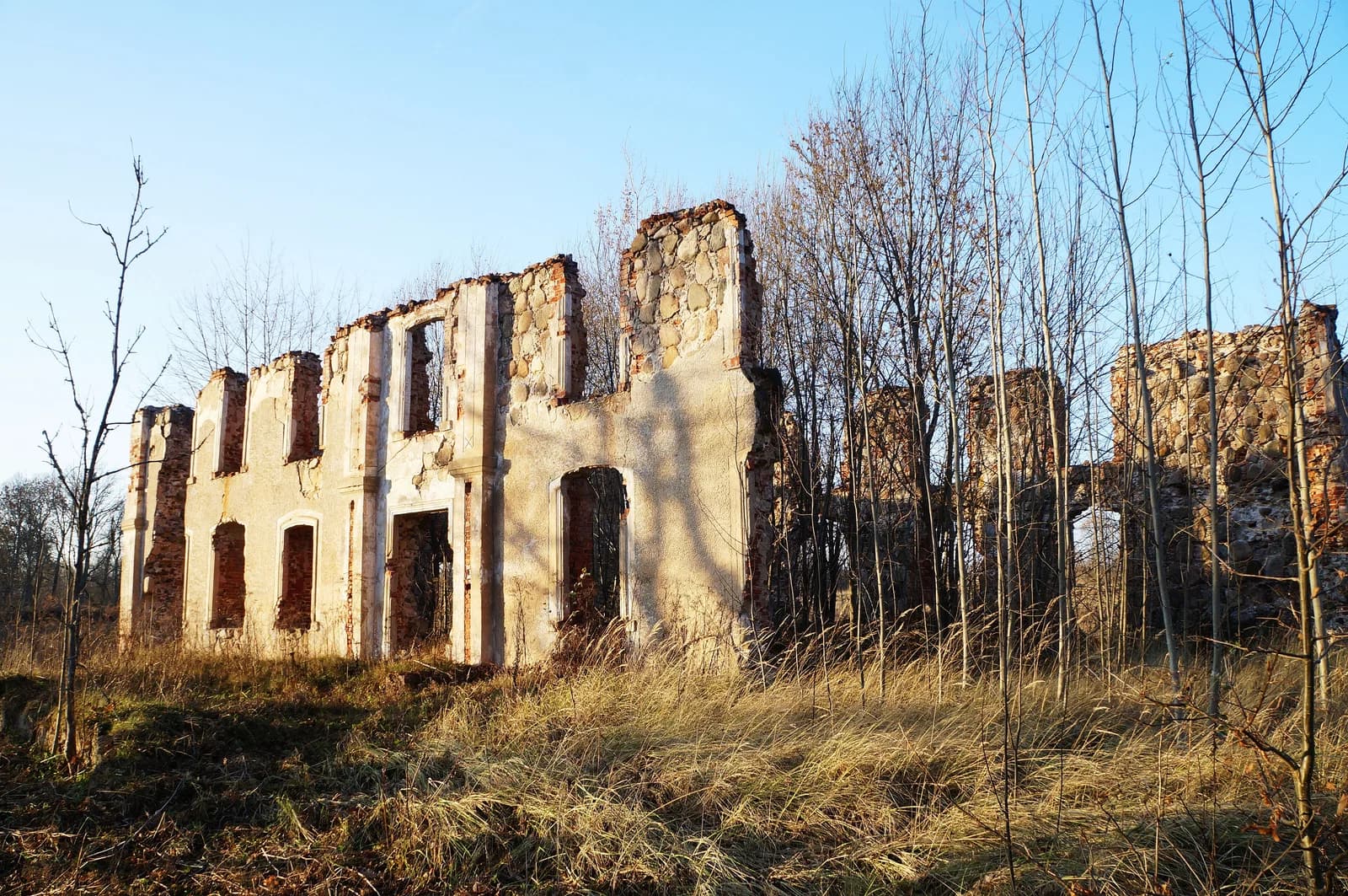Anninskoe, Sebezhsky District