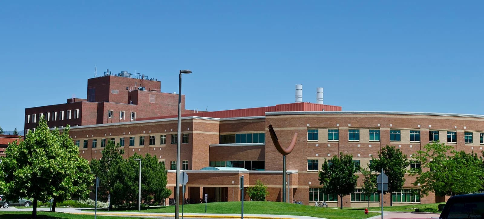 Montana State University
