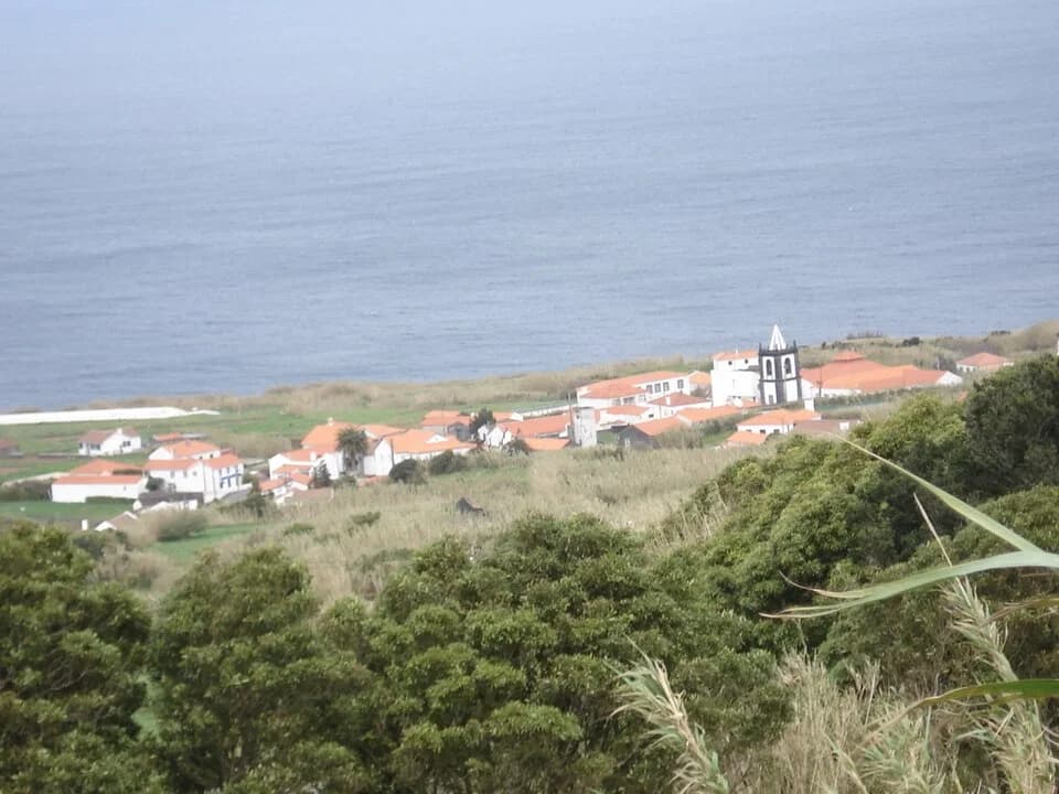 Cedros