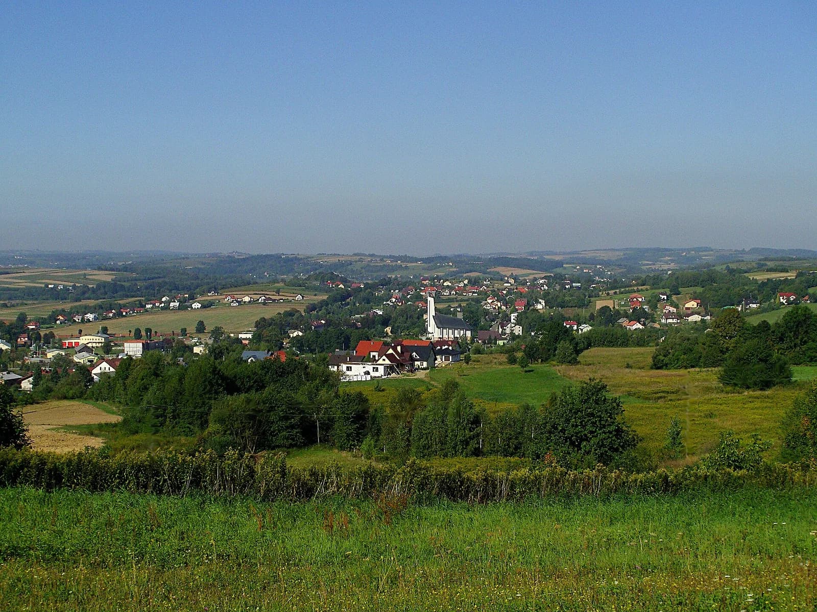 Skołyszyn