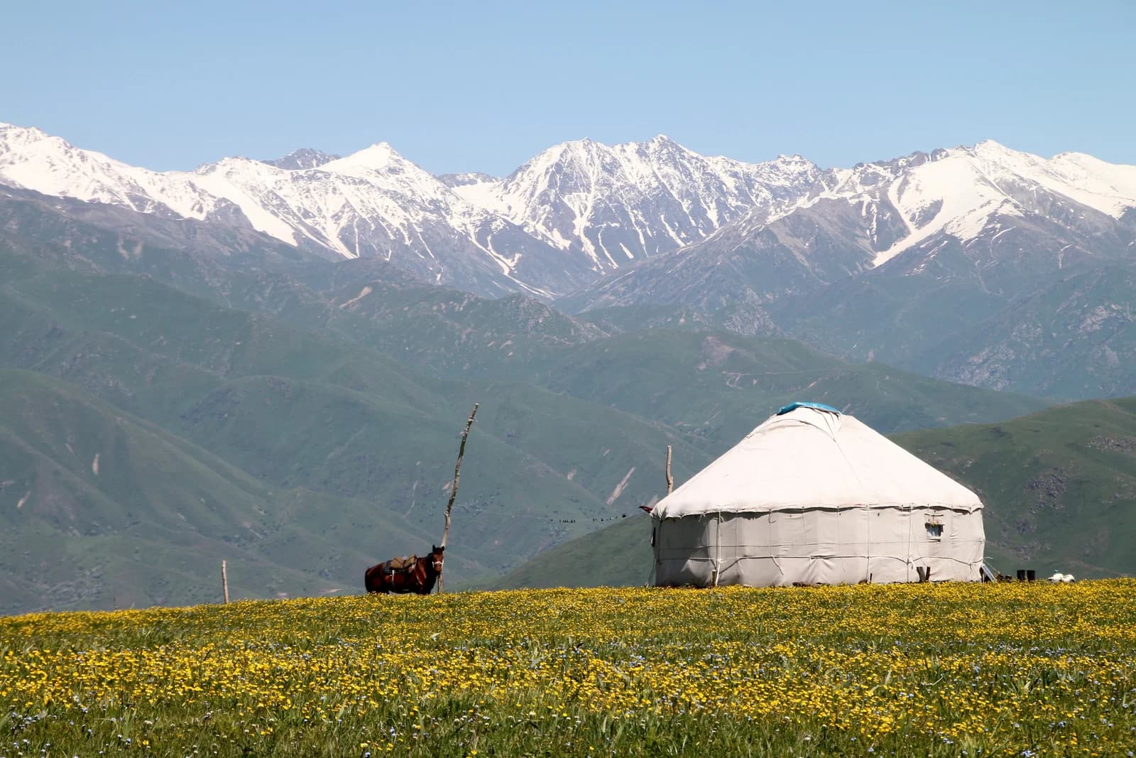 Gebiet Almaty