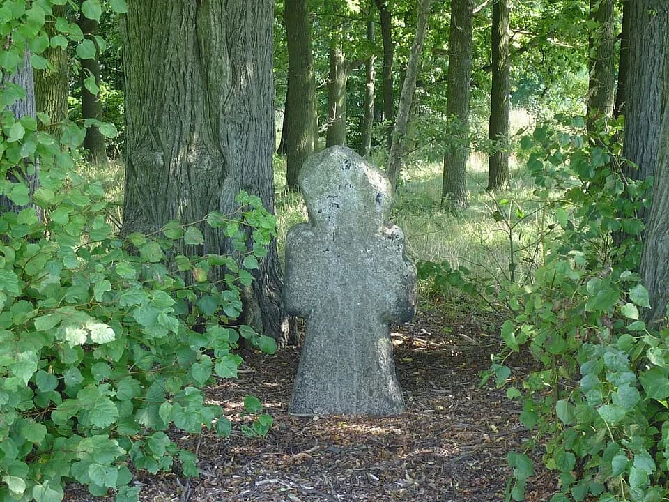 Litschen
