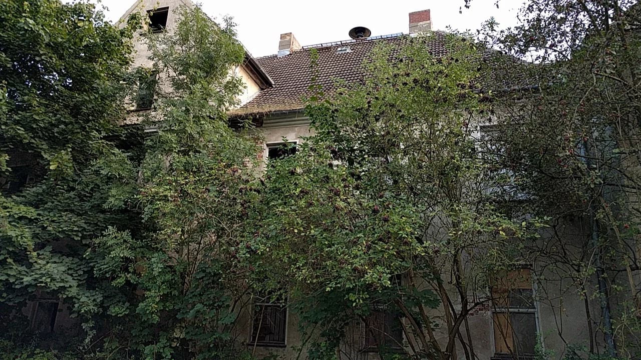 Züsedom