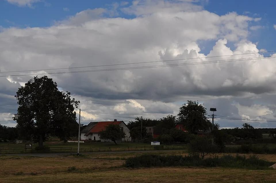Borcz